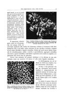giornale/PUV0110165/1939-1940/unico/00000059