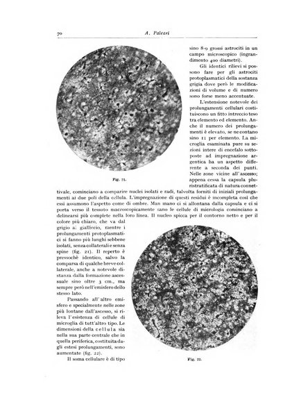 Archivio italiano di anatomia e istologia patologica