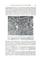 giornale/PUV0110165/1939-1940/unico/00000133