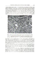 giornale/PUV0110165/1939-1940/unico/00000135