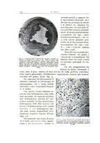 giornale/PUV0110165/1939-1940/unico/00000234