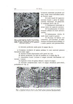 giornale/PUV0110165/1939-1940/unico/00000236