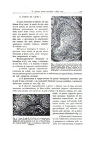 giornale/PUV0110165/1939-1940/unico/00000237
