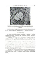 giornale/PUV0110165/1939-1940/unico/00000239