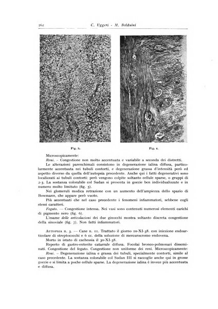 Archivio italiano di anatomia e istologia patologica