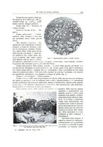 giornale/PUV0110165/1939-1940/unico/00000457