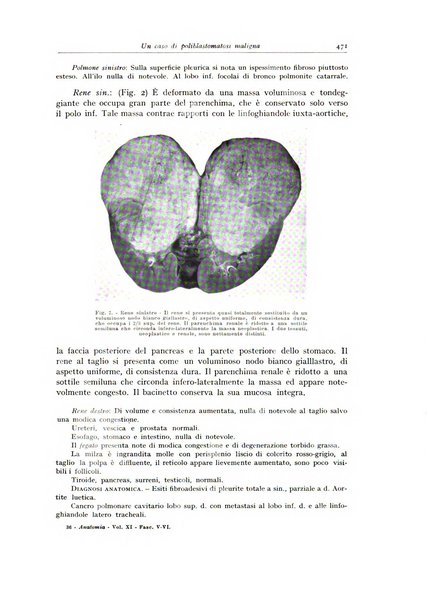 Archivio italiano di anatomia e istologia patologica