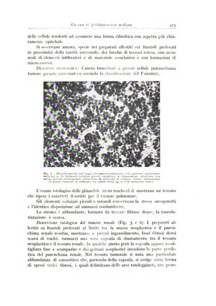 Archivio italiano di anatomia e istologia patologica