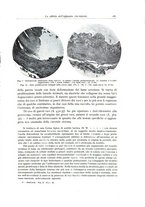 giornale/PUV0110165/1939/unico/00000199