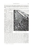 giornale/PUV0110165/1939/unico/00000279