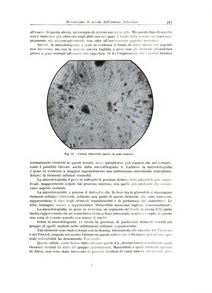 Archivio italiano di anatomia e istologia patologica