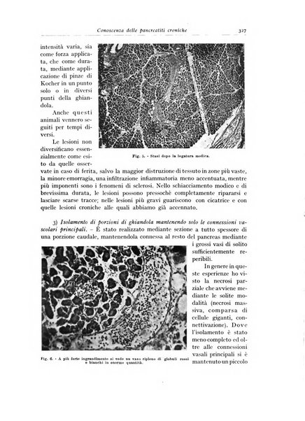 Archivio italiano di anatomia e istologia patologica