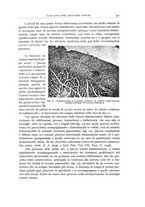 giornale/PUV0110165/1939/unico/00000347