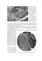 giornale/PUV0110165/1939/unico/00000360