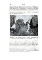 giornale/PUV0110165/1939/unico/00000438