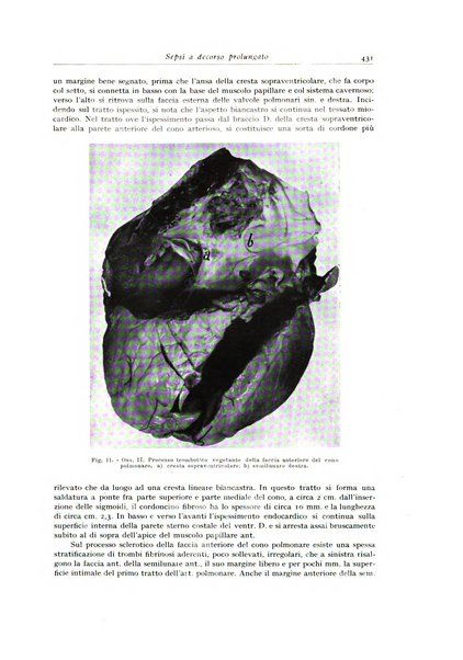 Archivio italiano di anatomia e istologia patologica