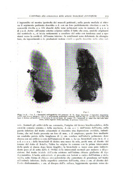 Archivio italiano di anatomia e istologia patologica