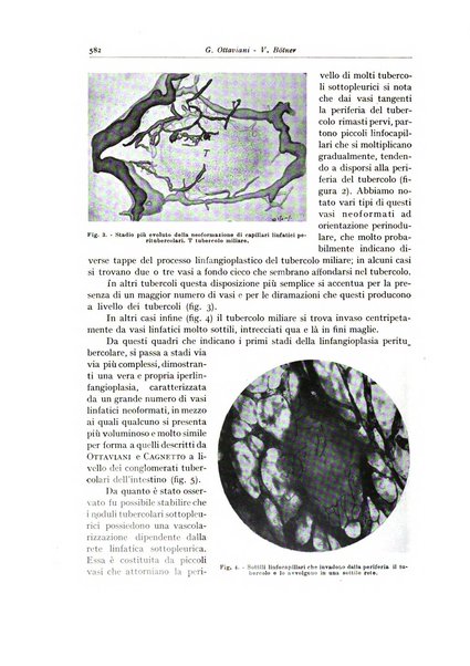 Archivio italiano di anatomia e istologia patologica