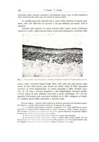 giornale/PUV0110165/1939/unico/00000622