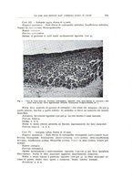 giornale/PUV0110165/1939/unico/00000625