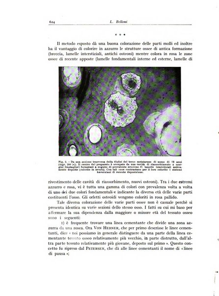 Archivio italiano di anatomia e istologia patologica