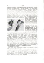 giornale/PUV0110165/1940-1941/unico/00000020