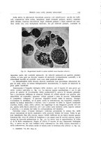 giornale/PUV0110165/1940-1941/unico/00000141