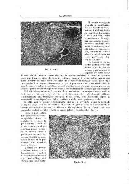 Archivio italiano di anatomia e istologia patologica