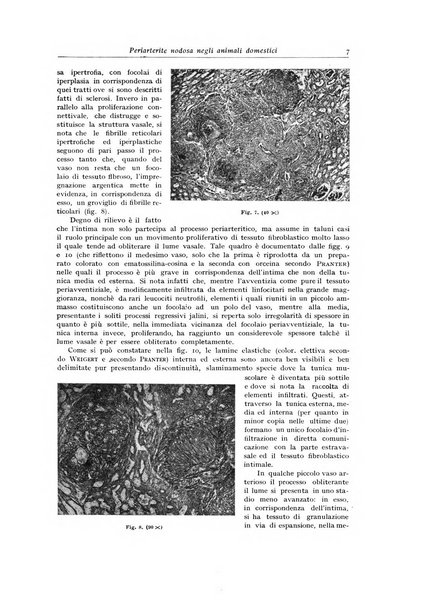 Archivio italiano di anatomia e istologia patologica