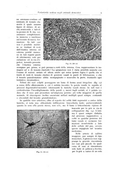 Archivio italiano di anatomia e istologia patologica