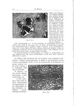 giornale/PUV0110165/1941/unico/00000018