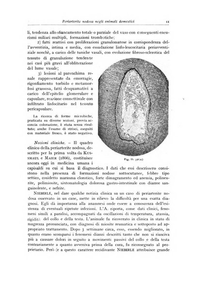 Archivio italiano di anatomia e istologia patologica