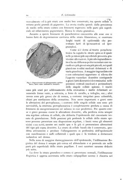 Archivio italiano di anatomia e istologia patologica