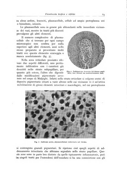 Archivio italiano di anatomia e istologia patologica