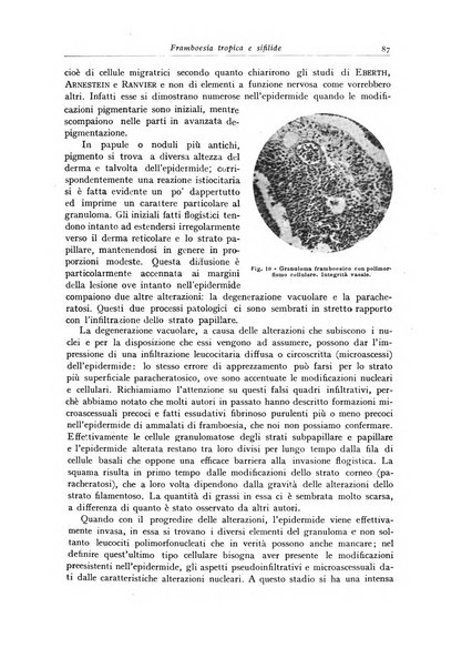 Archivio italiano di anatomia e istologia patologica