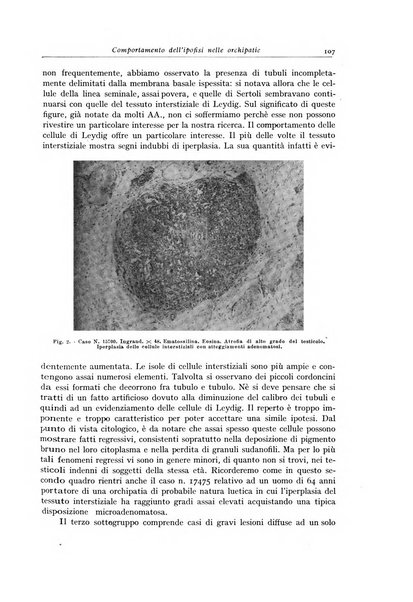 Archivio italiano di anatomia e istologia patologica