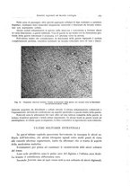 giornale/PUV0110165/1941/unico/00000201