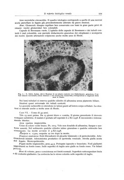 Archivio italiano di anatomia e istologia patologica