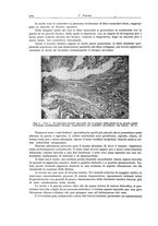 giornale/PUV0110165/1941/unico/00000346