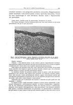 giornale/PUV0110165/1941/unico/00000357