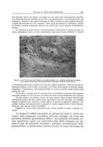 giornale/PUV0110165/1941/unico/00000363