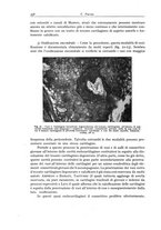 giornale/PUV0110165/1941/unico/00000380