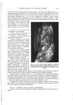 giornale/PUV0110165/1941/unico/00000441