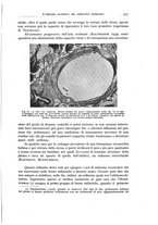 giornale/PUV0110165/1941/unico/00000449