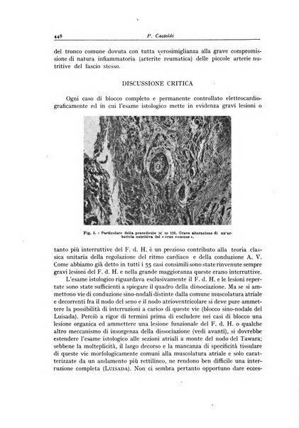 Archivio italiano di anatomia e istologia patologica