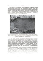 giornale/PUV0110165/1941/unico/00000522