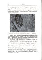 giornale/PUV0110165/1942/unico/00000030