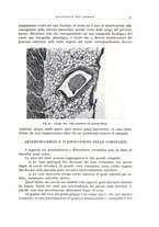 giornale/PUV0110165/1942/unico/00000047