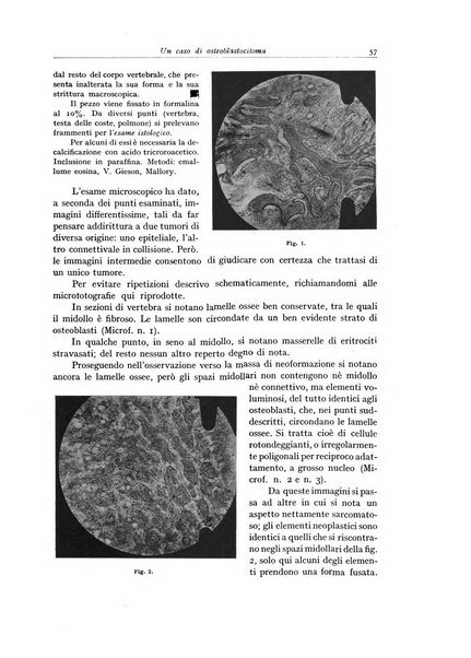 Archivio italiano di anatomia e istologia patologica