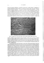 giornale/PUV0110165/1942/unico/00000084
